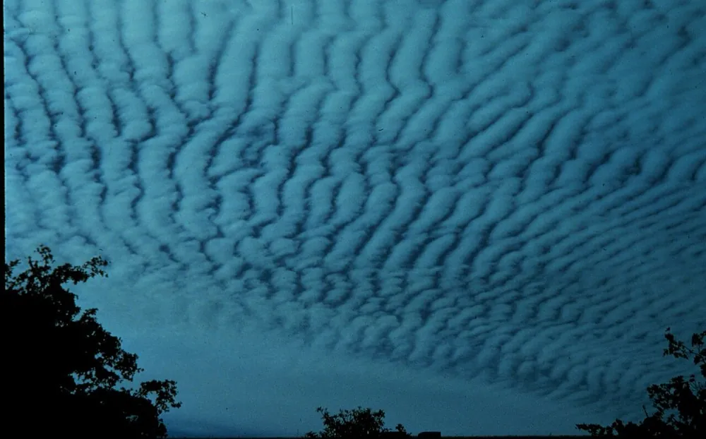 Altocumulus: patches and rolls of cloud in the middle levels