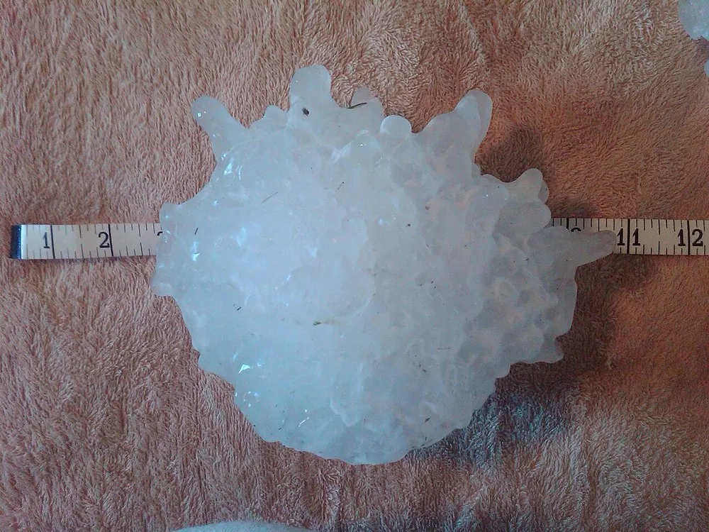 Hailstones collected after a severe thunderstorm