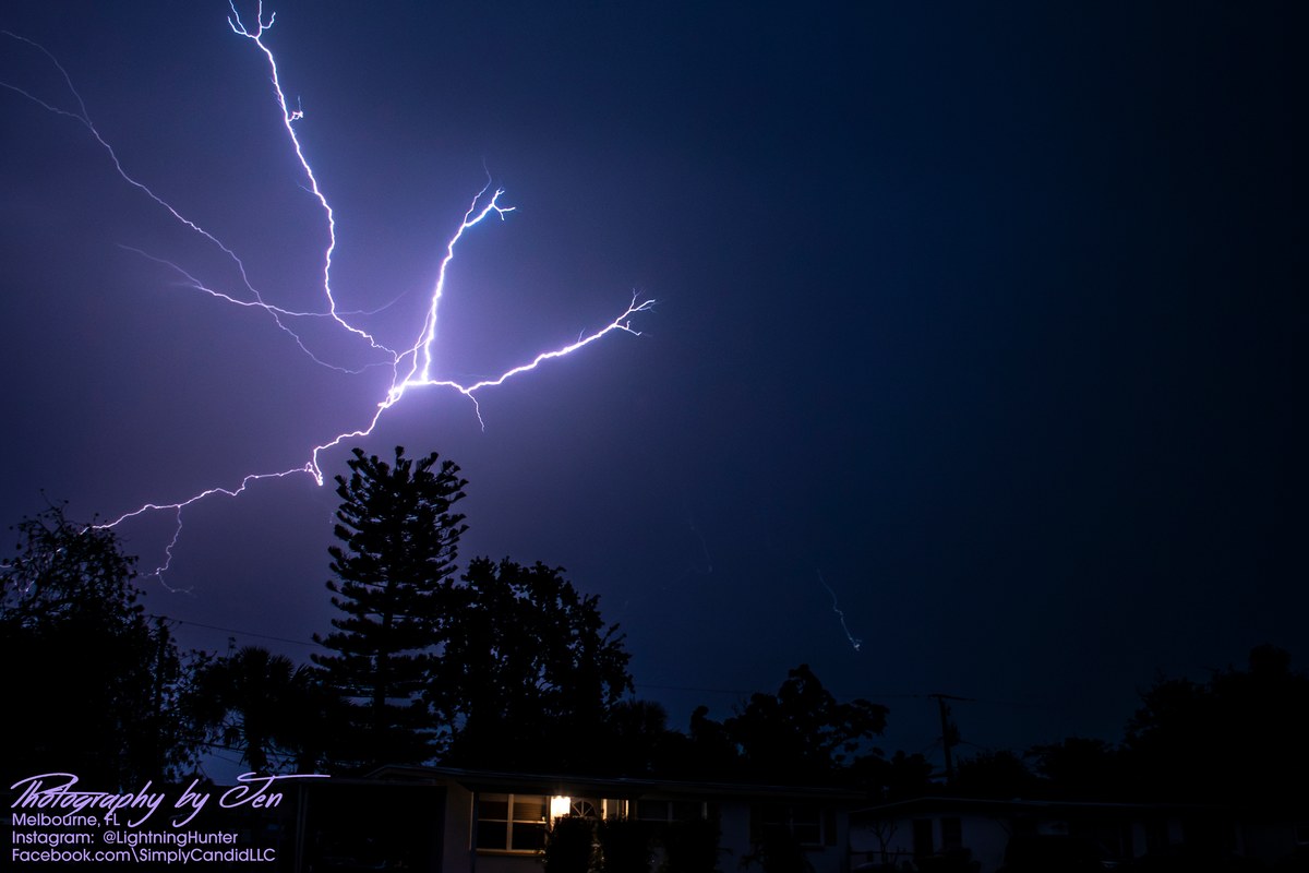 Lightning photograph by Jen (@lightninghunter): a brilliant bolt branches like a tree across a deep blue night sky above a tall pine silhouette and a row of low houses with one lit window.